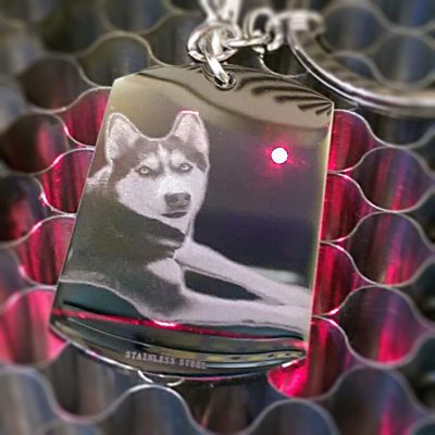 Bildgravur-Husky-SQ